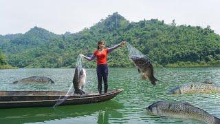 Casting Nets To Catch Many Big Fish On The Big Lake - Harvest many fish go to market sell