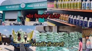 ਆਲੂ ਦੀ ਫ਼ਸਲ ਦਾ ਲਿਆਦਾ DAP//ਖੇਤੀਬਾੜੀ ਮਹਿਕਮਾ//