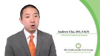 Andrew Cha, DO, FACS - What Areas of the Body Do I Treat?