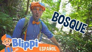 Paseo en el bosque con Blippi | Blippi Español | Videos educativos para niños | Aprende y Juega