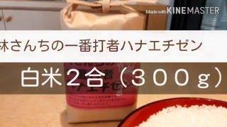 ハナエチゼンなら「林さんちの一番打者ハナエチゼン白米２合（３００ｇ）」です。2016