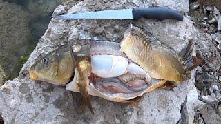 Mirror Carp Catch and Cook! - Sight Fishing for Carp - Carp Fishing Tips