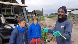 Amazing Israel tweens in Agriculture; Rising Farmers