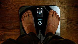 How to use the Eufy P3 Scale to track your body composition