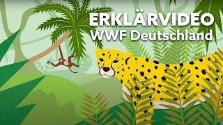 Erklärvideo | WWF Deutschland | Filmproduktion Frankfurt