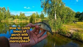 How to catch tones of perch with nanojig and mormyshka?