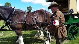 Sheffield SteamFest 2018 WW1 Field Ambulance