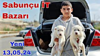 Sabunçu İT Bazarı 12 may 2024 @mubarizemintv2271