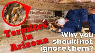 Termites in Arizona, DON'T IGNORE THEM! | Go Phoenix Real Estate