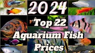 2024 විසිතුරු මසුන්ගේ නවතම මිල ගණන් | 2024 Aquarium Fish new prices | Monster fish & normal fish