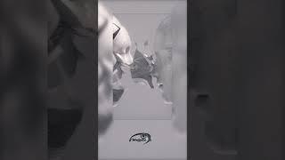 Inst: yo_6fingers, fingerscommunity #loop #sample