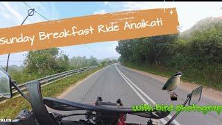 Sunday Breakfast Ride to Anaikatti Sholaiyur I Rare bird sighting I Avenger 220 Tamil motovolog 4k