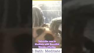 Turtles are Beautiful Weirdos #redearsliderturtle #meditation #sound #soundbath #relaxation #turtle