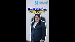 [E-Invoice]什么是Sandbox?