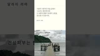 내면의 평화가 육체적 고통을 이깁니다. #인생명언 #명언 #좋은글 #내면의힘 #마음 #평온한마음