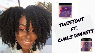 CURLS DYNASTY YOU DID THAT !!!!  | FLUFFY & DEFINED TWISTOUT ON 4c HAIR  | RAYANNE SAMANTHAAA