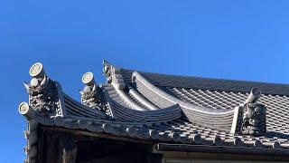 Real Japan: Suburban Temple: MARTIN SHOW JAPAN is live! Sunday Morning