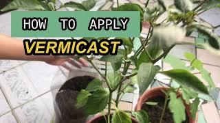 What is Vermicast? | How to Apply Vermicast?