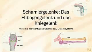 Scharniergelenke: Das Ellbogengelenk und das Kniegelenk