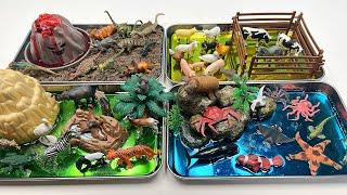 4 Mini World Diorama With Animals And Jelly - farm Safari Dinosaur ocean| Shark Tiger Cow T-Rex