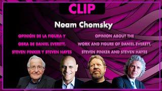 "Daniel Everett's contributions are basically nothing" - Noam Chomsky