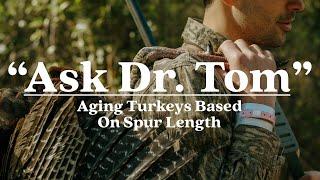 How to Age a Turkey by Spur Length : Ask Dr. Tom