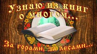 Узнаю из книг о многом. За горами, за лесами...