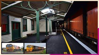 KiwiRail Trains 390 and 334 in Tauranga + Night Moves in National Park ~ 03 and 06/05/2022 (HD)