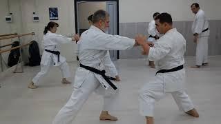 Jyo Kyo Isse #1. Kata of Master Asai Tetsuhiko in Original version from Shihan Andrey Dormenko 8 Dan