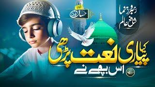 Mind Relaxing Naat | Shah Do Alam Mere Muhammad | Hassan Farooq | New Naat Sharif 2025