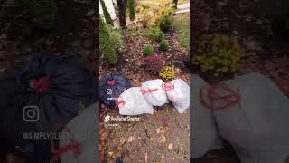Join me for some laundry pickups