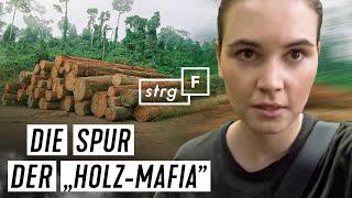 Mord, Raub, Vertreibung: Was steckt hinter legalem Holz? | STRG_F