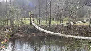 Old Farm Remnants & Mine Locations, Robinson Run, Braxton County, West Virginia