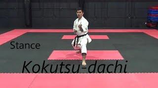 Kokutsu-dachi      後屈立