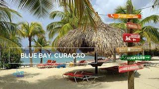 Curacao Dive Site Guide | Blue Bay Beach | Dive Travel Vlog