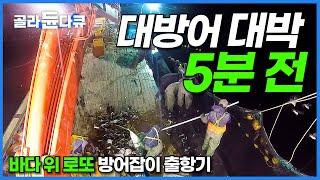 이 갑판은 5분 뒤 꽉 찹니다. 잘 잡으면 하루 4000만 원! 그야말로 바다 로또 방어잡이 출항기│대방어회 먹방│극한직업│#골라듄다큐