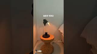 감각적인 제주도 독채 숙소 서귀포 숙소