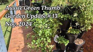 Nathan’s Garden Update #13 – Exciting News: Aussie Green Thumb Forum Is Live! (Hydroponic Update)