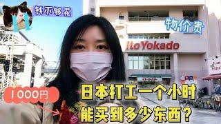 1000元在日本超市能买到什么东西？日本物价到底贵不贵？实拍揭秘【智君奈奈看日本Tokyo】