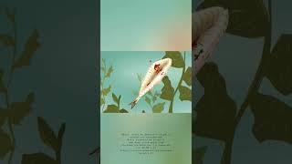 Delicious - One Week Film
