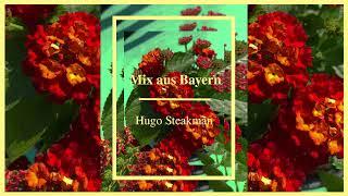 #2. HUGO STEAKMAN • MIX AUS BAYERN