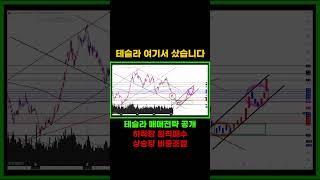 테슬라 여기서 샀습니다. 매매 전략 공개 #테슬라 #쇼츠 #shorts