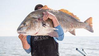 Delaware Bay Black Drum | Cape May, NJ | S20 E02