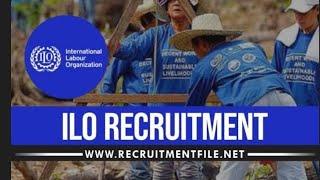 International Labour Organization Recruitment | ILO Recruitment 2023/2024 (APPLY NOW)