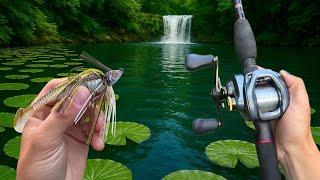I Couldn’t STOP HOOKING BIG BASS In 100 DEGREE WEATHER! (insane)
