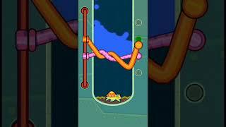Spin the wheel puzzle game| Save the fish game| MSA games official