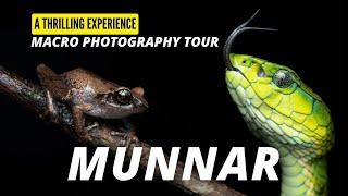 Munnar Macro Photography Tour: A thrilling Herping Experience | Toehold