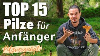 Die BESTEN Speisepilze abseits von Steinpilz, Pfifferling und Parasol  Top 15 Pilze für Anfänger 