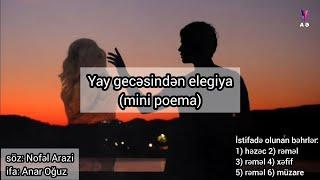 Nofəl Arazi — Yay gecəsindən elegiya (mini poema)