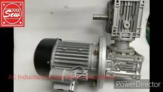 Ac Induction Double Worm Gear Motor